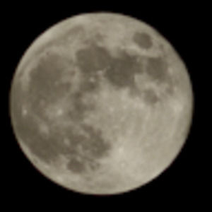 Meet your Posher, Claudia